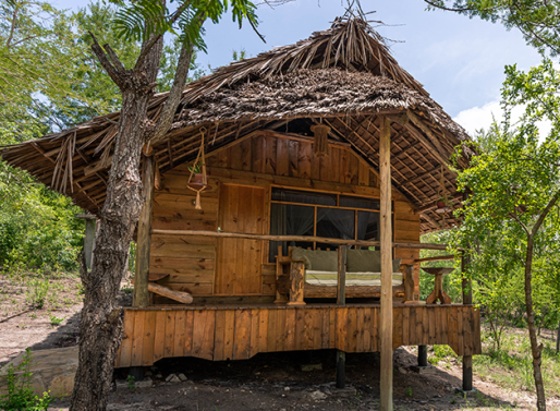 https://saadani.co.tz/Jane Banda