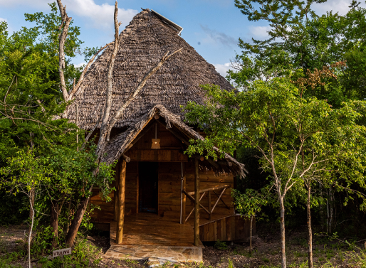 https://saadani.co.tz/Utulivu Room