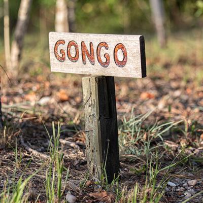 Gongo